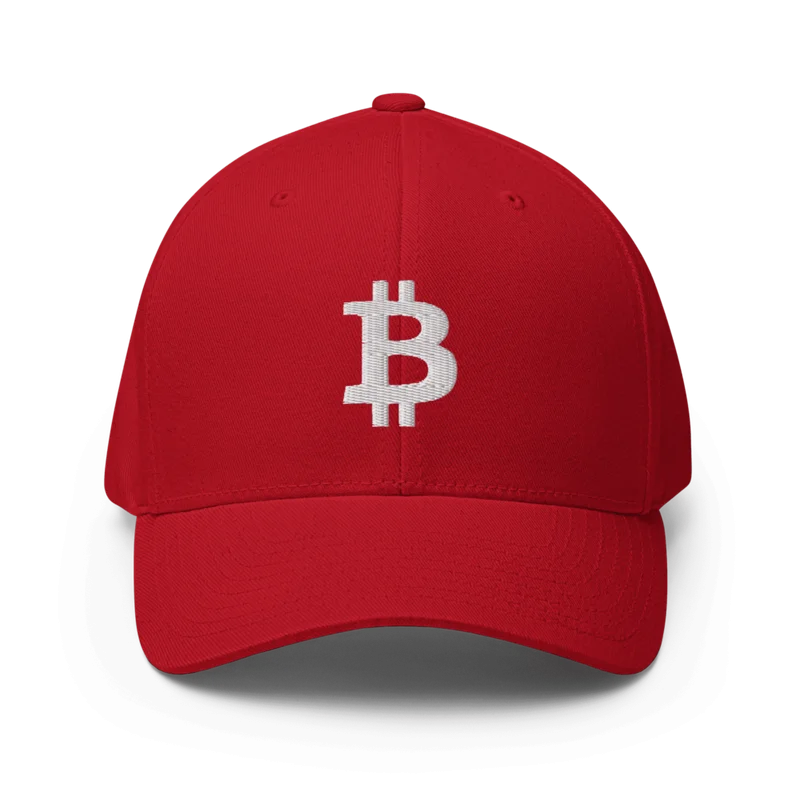 Bitcoin Flexfit Baseball Cap - Image 5