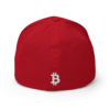 Bitcoin Flexfit Baseball Cap