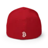 Bitcoin Flexfit Baseball Cap