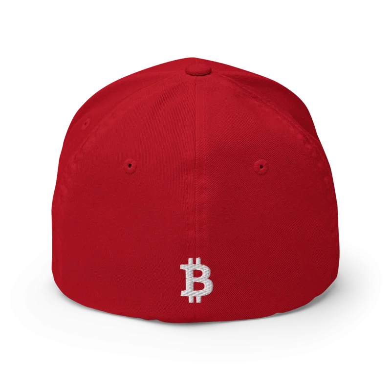 Bitcoin Flexfit Baseball Cap - Image 6