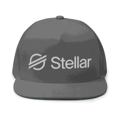 Stellar Lumens XLM Snapback Hat