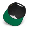 Synthetix Snapback Hat