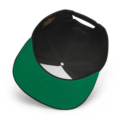 Synthetix Snapback Hat
