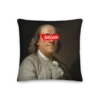 Bitcoin x Benjamin Franklin Premium Pillow