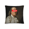 Bitcoin x Benjamin Franklin Premium Pillow