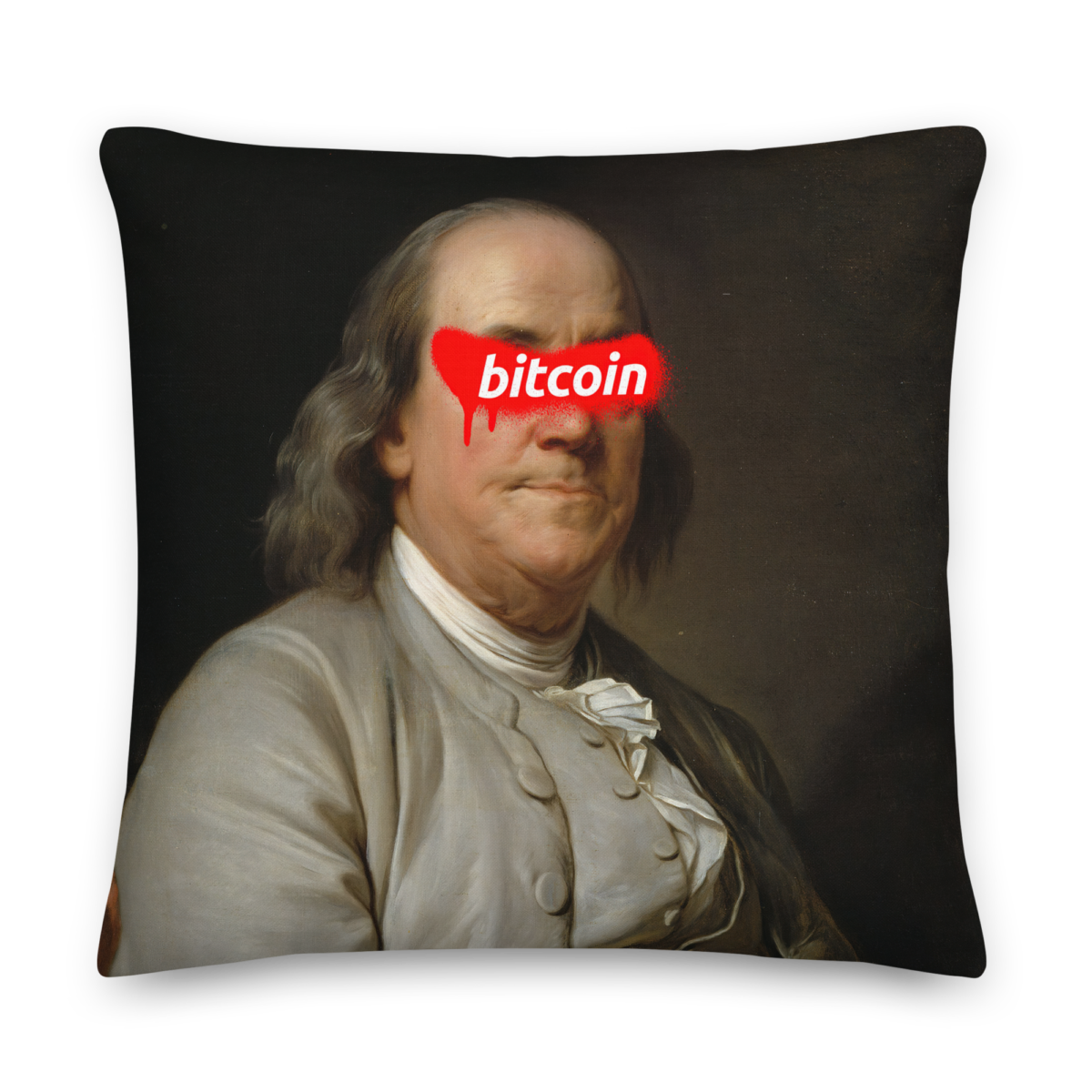Bitcoin X Benjamin Franklin Premium Pillow