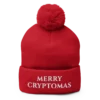 Merry Cryptomas Pom-Pom Beanie