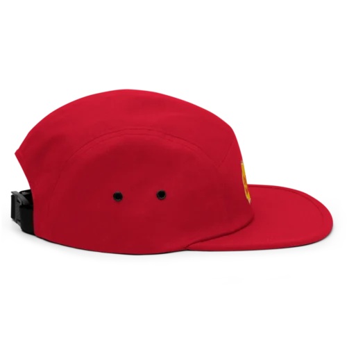Crypto Hodler 5 Panel Cap