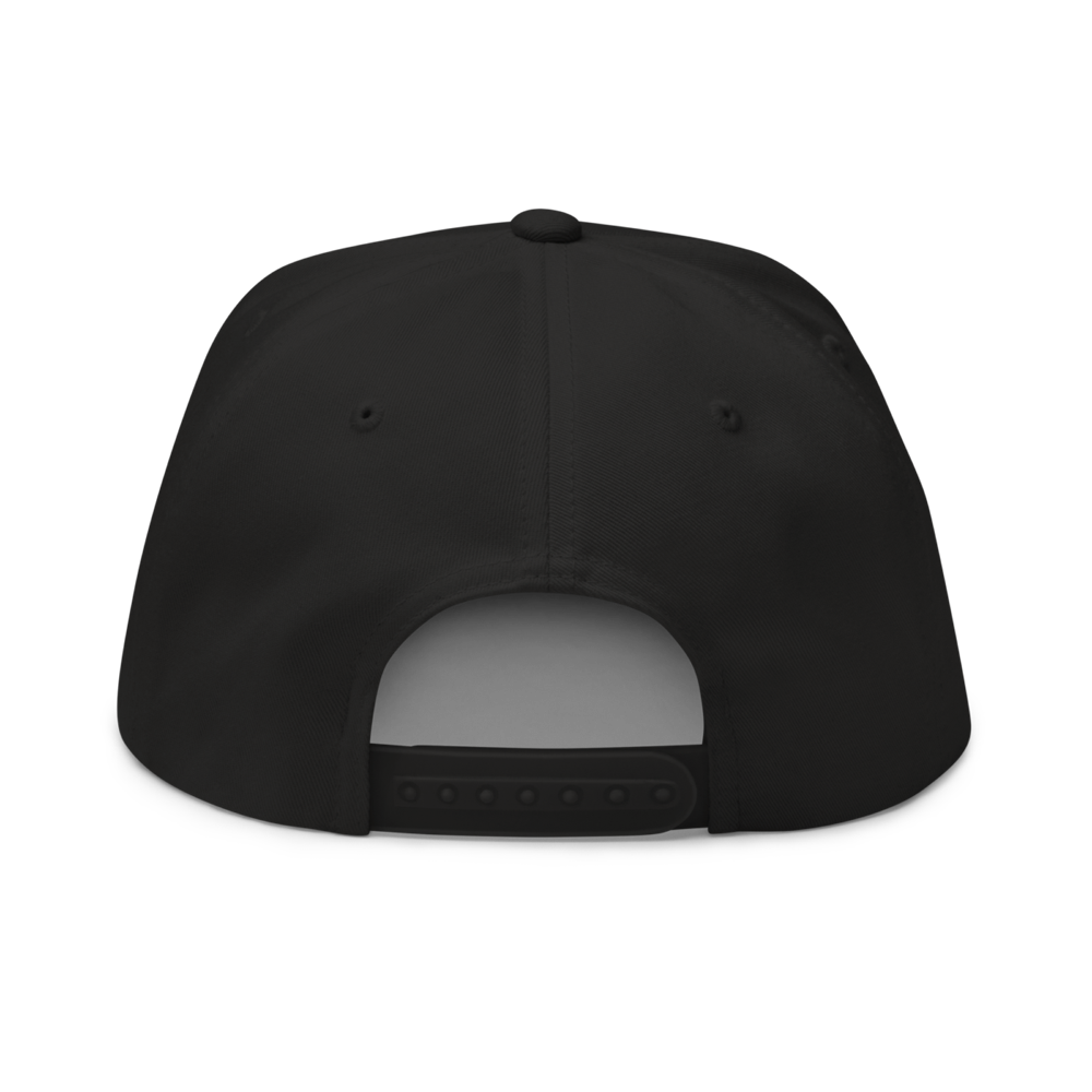 flat bill cap black back 63bf20c42bcd4 - Got Crypto? Snapback Hat