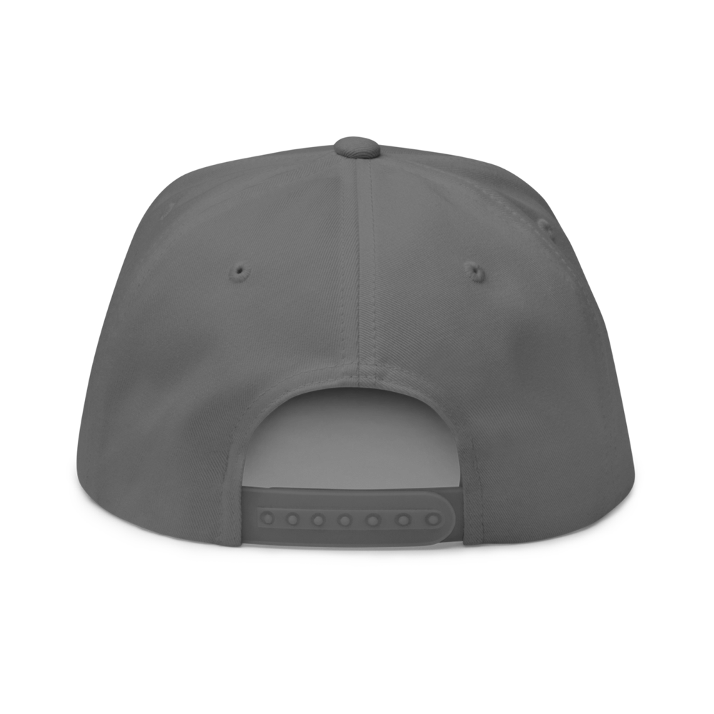 flat bill cap grey back 63bf20c42c10c - Got Crypto? Snapback Hat