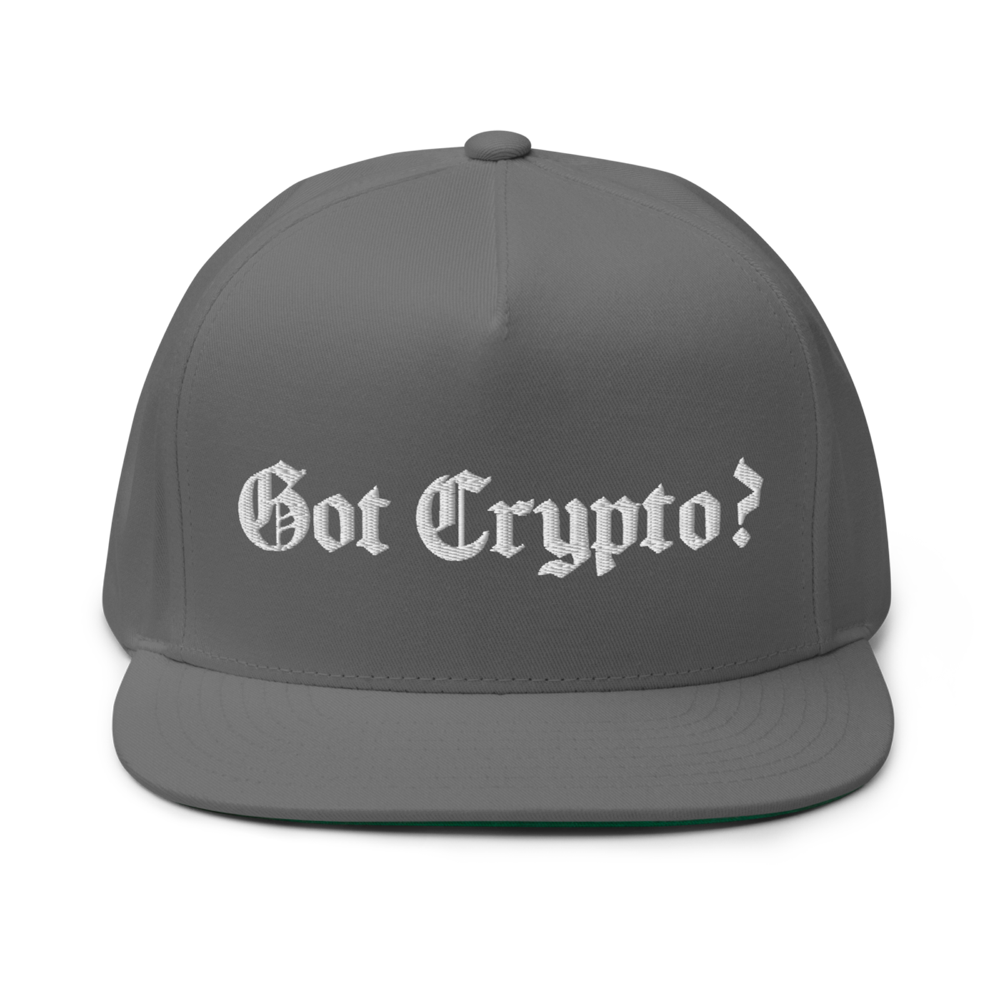 flat bill cap grey front 63bf20c3c780c - Got Crypto? Snapback Hat