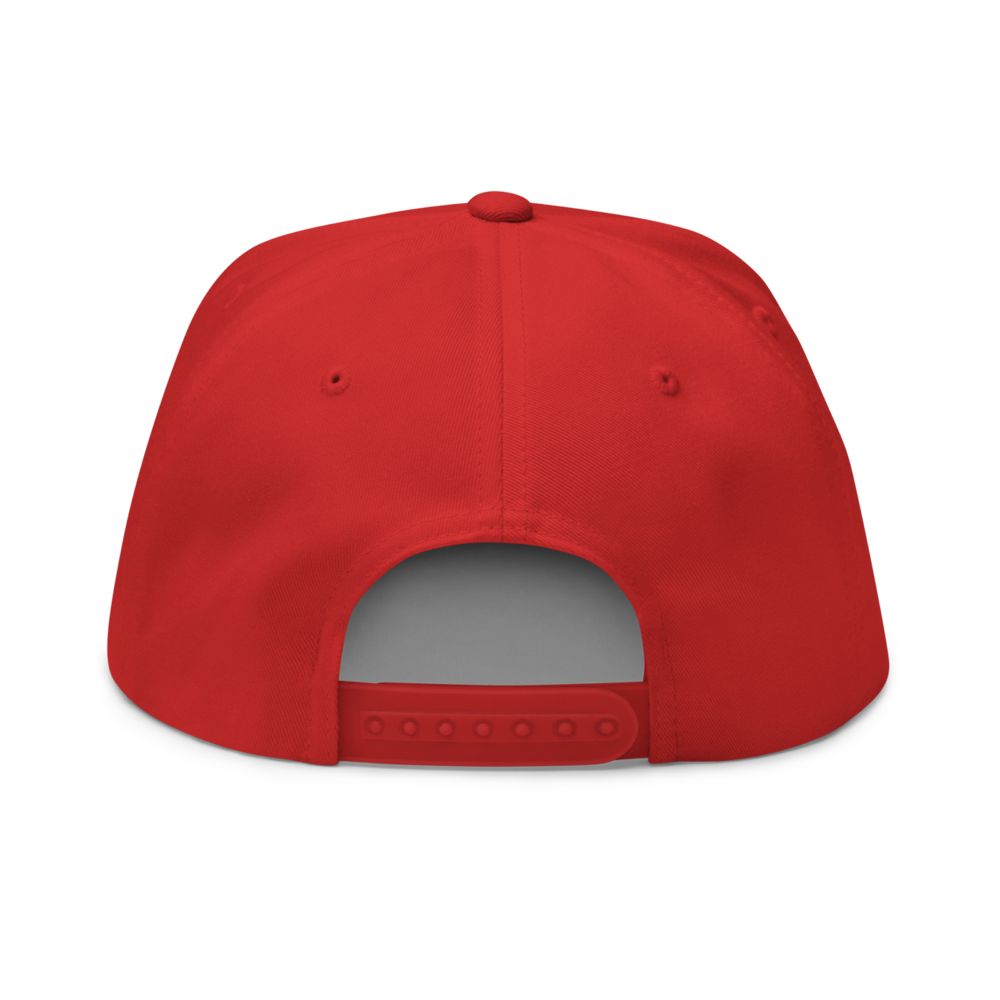 flat bill cap red back 63bf20c42bf7c - Got Crypto? Snapback Hat