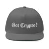 Got Crypto? Snapback Hat