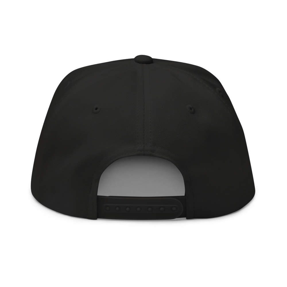 Got Crypto? Snapback Hat