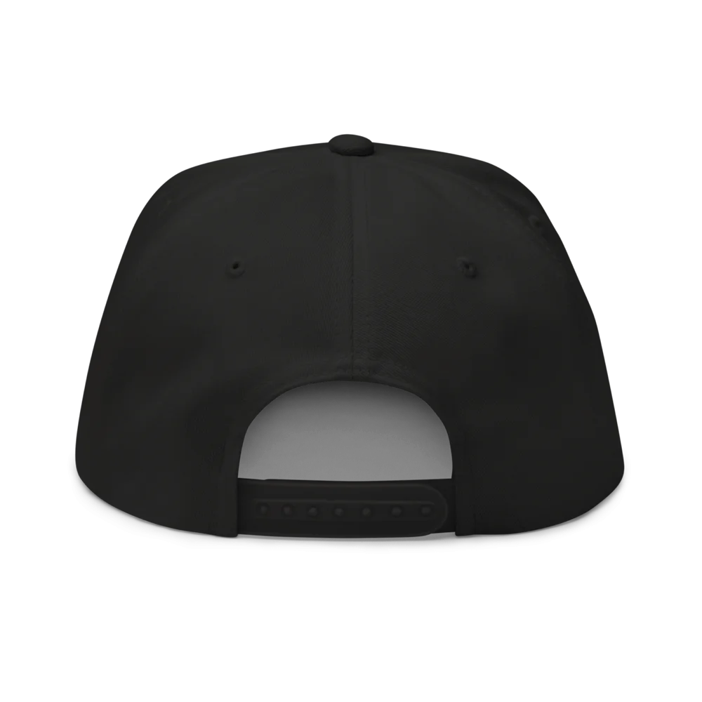 Got Crypto? Snapback Hat - Image 4