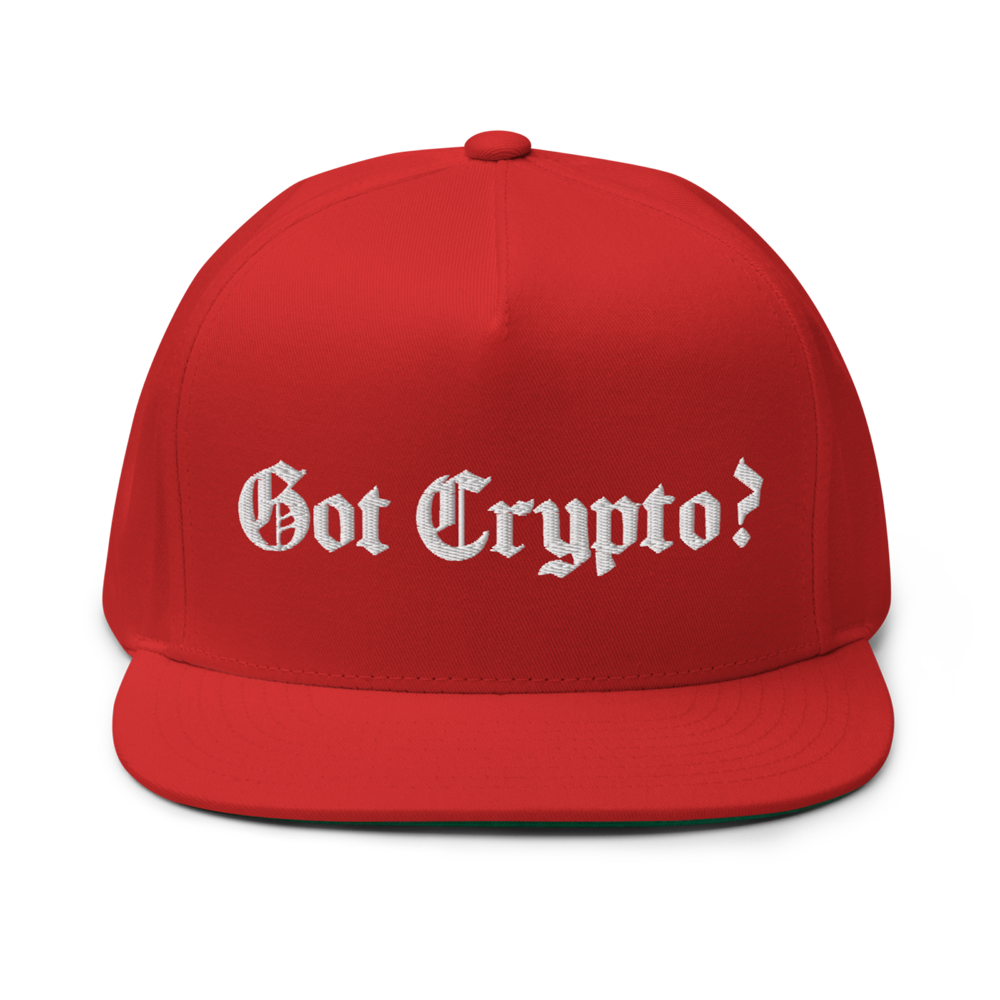 Got Crypto? Snapback Hat