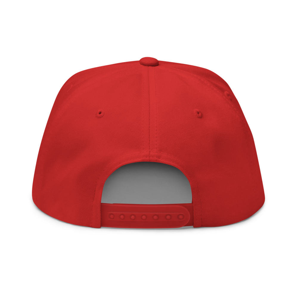 Got Crypto? Snapback Hat