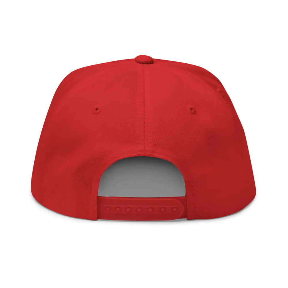 Got Crypto? Snapback Hat - Image 6