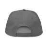 Got Crypto? Snapback Hat