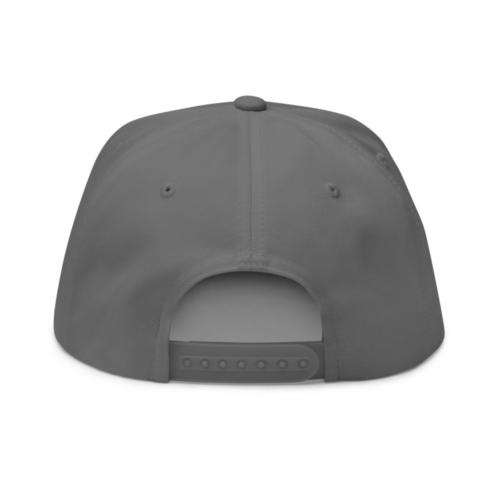 Got Crypto? Snapback Hat