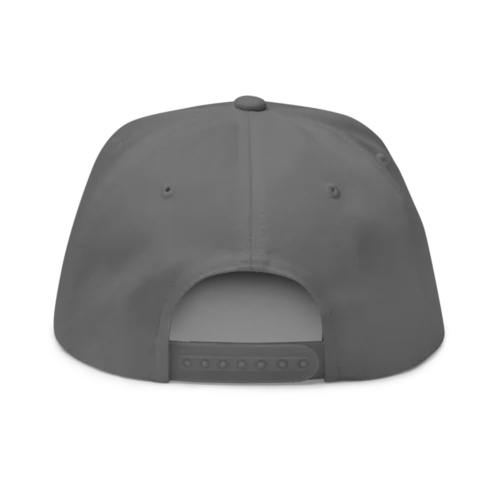 Got Crypto? Snapback Hat