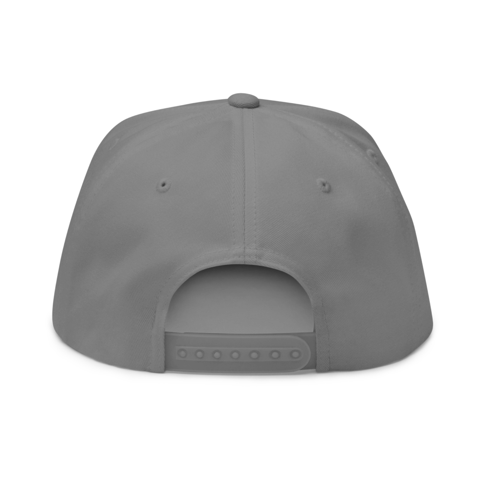 Got Crypto? Snapback Hat