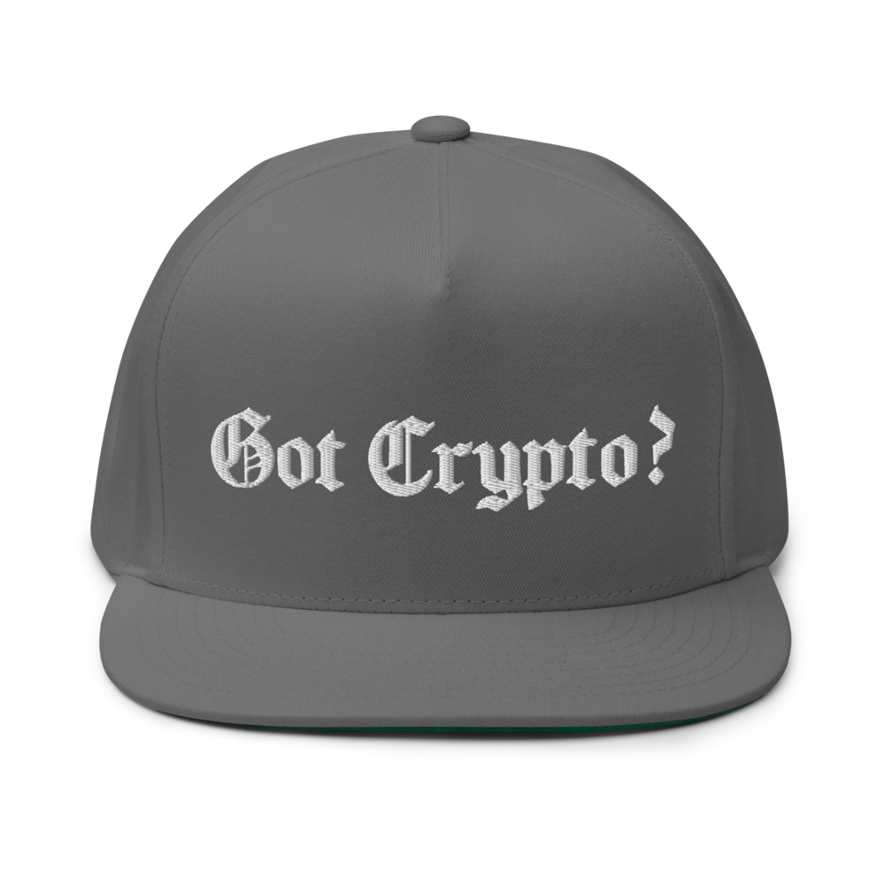 Got Crypto? Snapback Hat