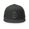 Bitcoin DRK Trucker Cap