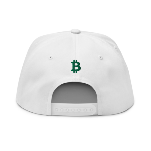 Bitcoin St. Patrick's Day Snapback Hat
