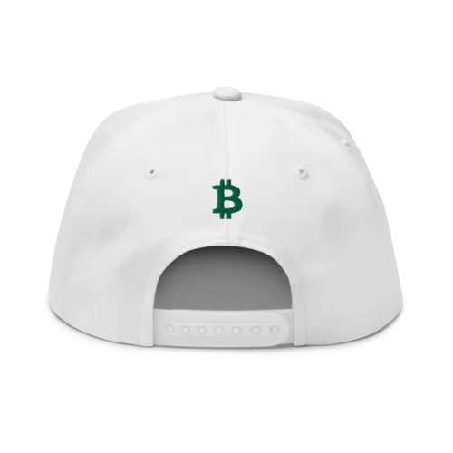 Bitcoin St. Patrick's Day Snapback Hat
