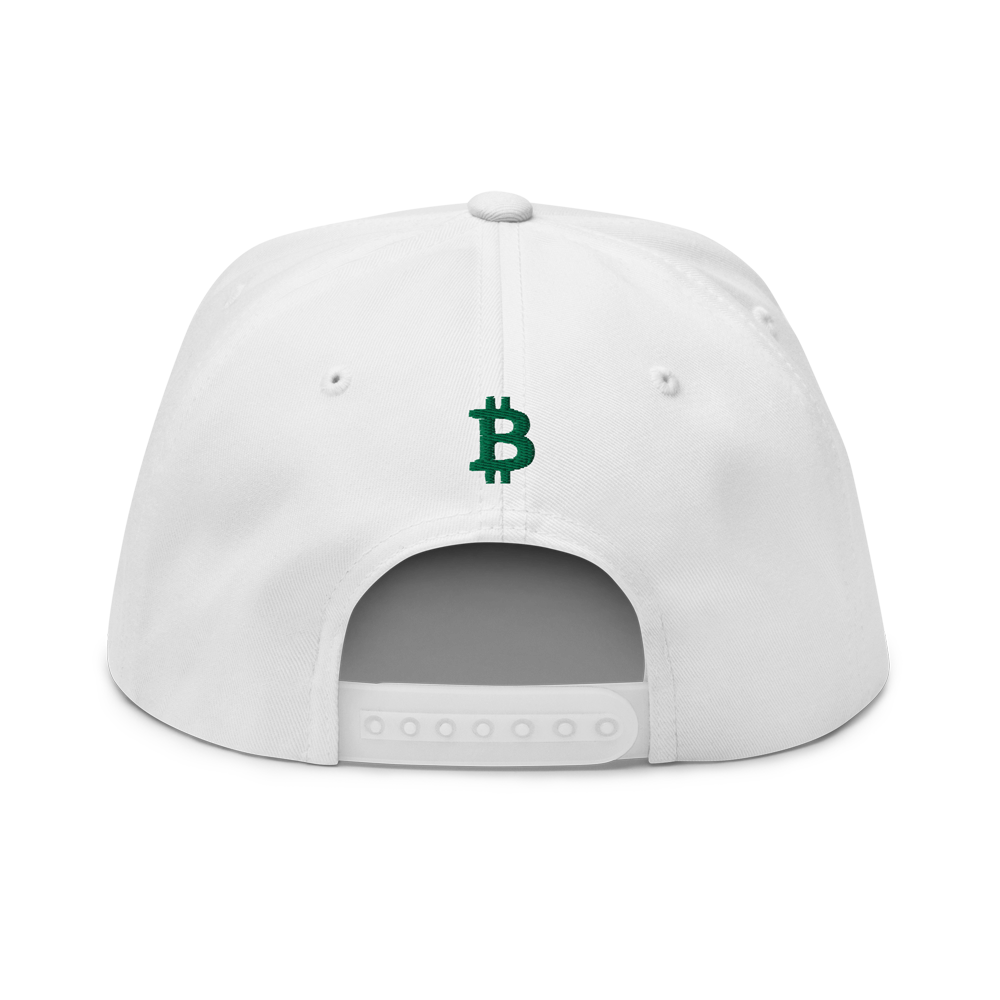 Bitcoin St. Patrick's Day Snapback Hat