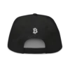 Bitcoin X Flat Bill Cap