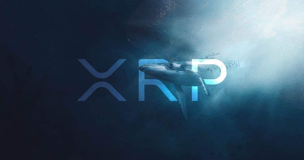 xrp featured - XRP Powerhouse: Shop Like a Ripple Pro at Crypto Goodies for the Best XRP Merchandise!