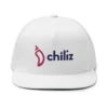Chiliz Snapback Hat