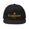 Cryptonaire Snapback Hat