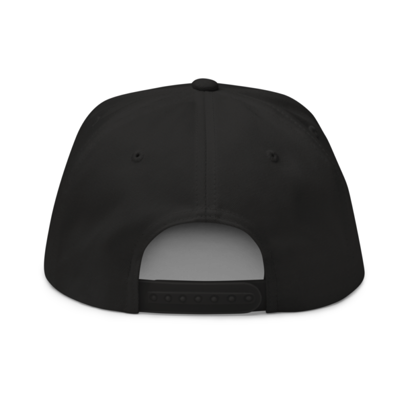 Cryptonaire Snapback Hat
