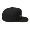 Cryptonaire Snapback Hat