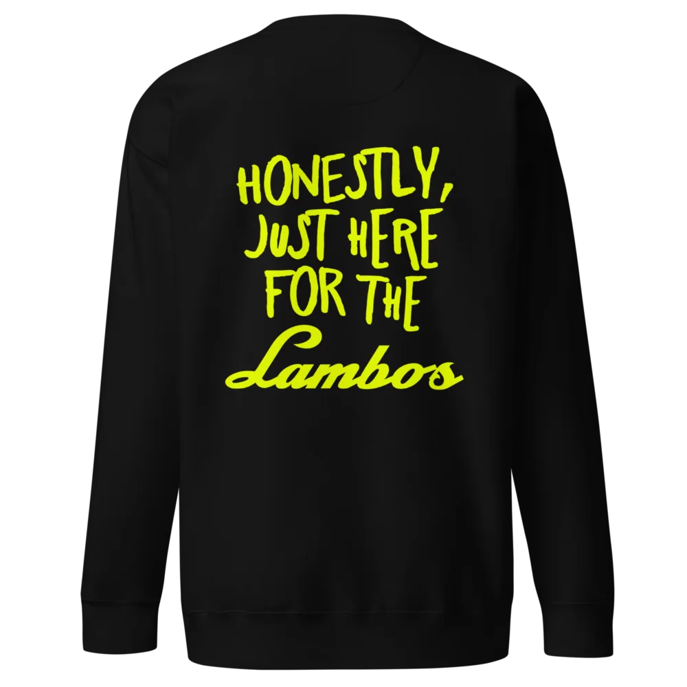 Crypto Goodies Here for the Lambos Sweatshirt - Image 3