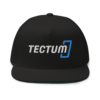 Tectum Snapback Hat