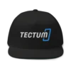 Tectum Snapback Hat