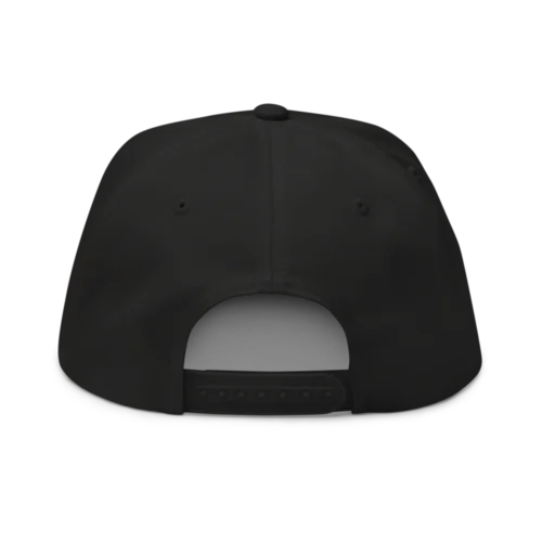 Tectum Snapback Hat