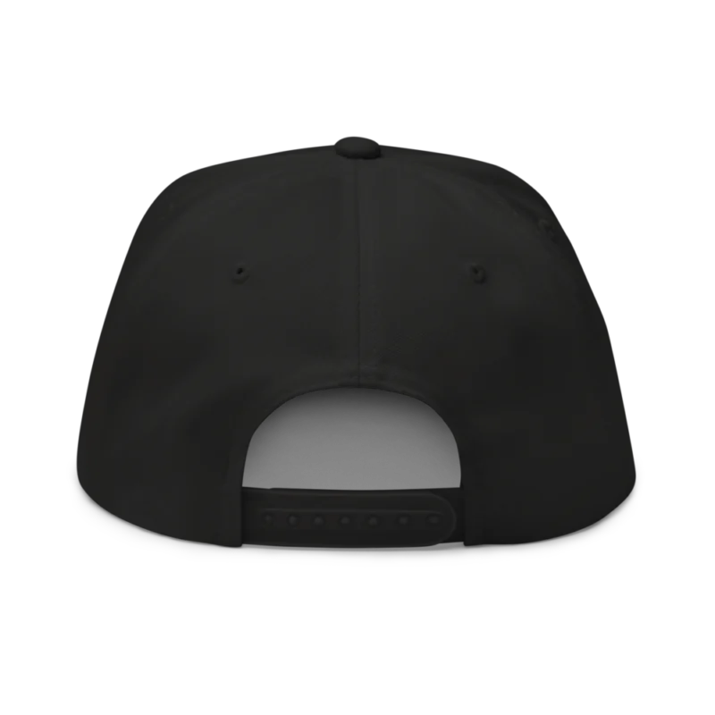 Tectum Snapback Hat