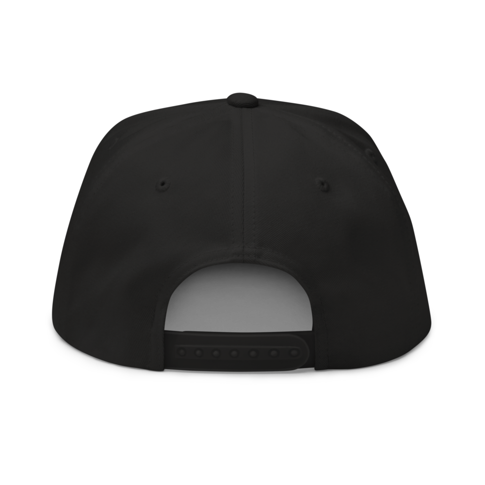 Tectum Snapback Hat