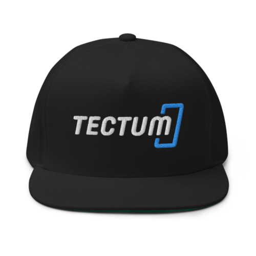 Tectum Snapback Hat
