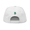 Bitcoin Baseball Snapback Hat