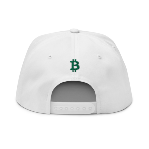 Bitcoin Baseball Snapback Hat