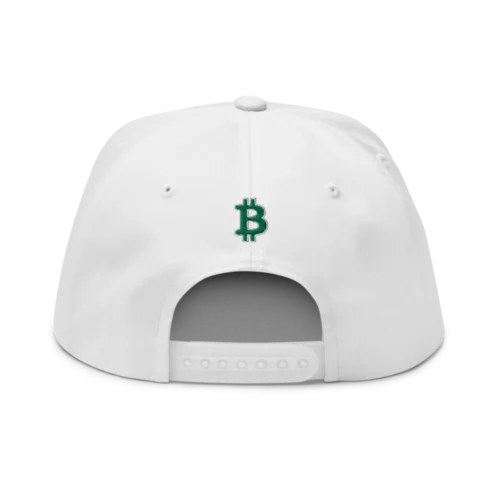 Bitcoin Baseball Snapback Hat