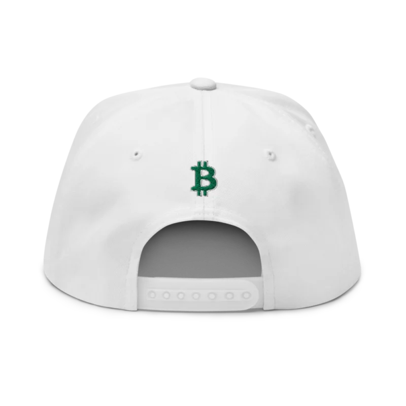 Bitcoin Baseball Snapback Hat