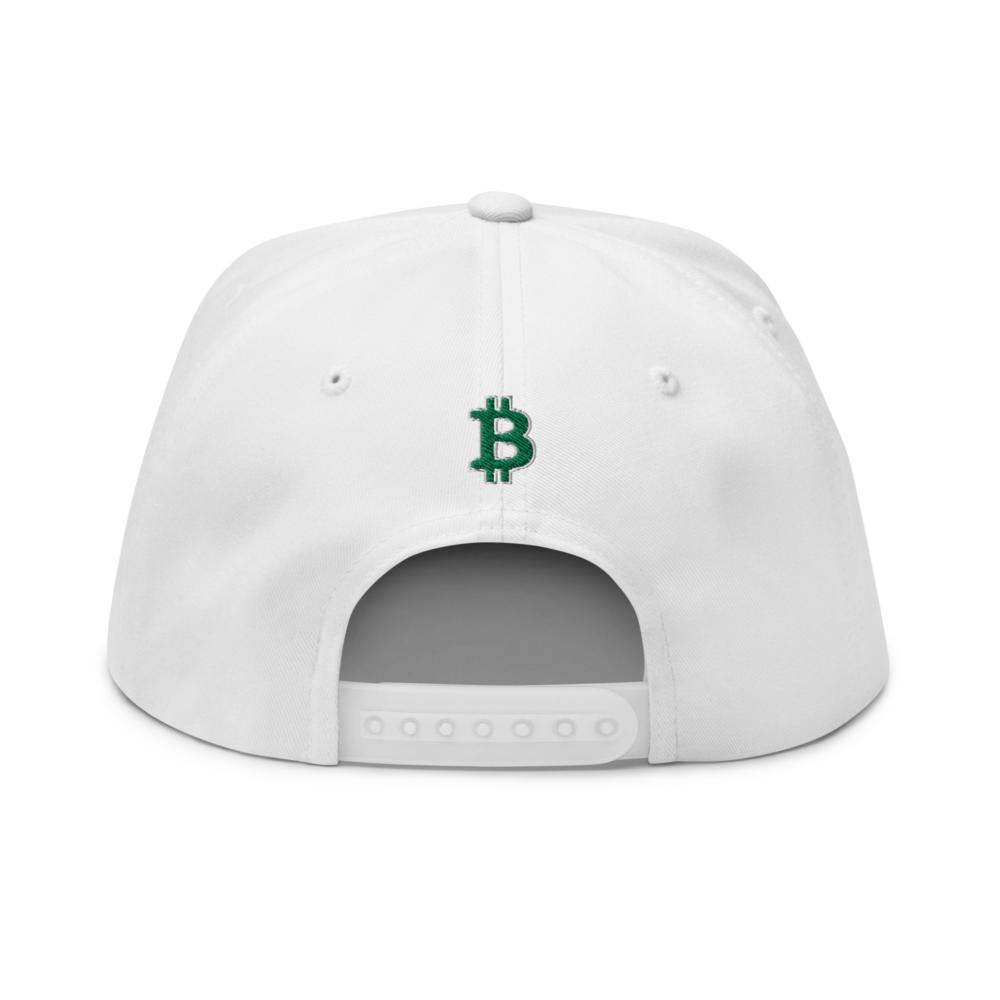 Bitcoin Baseball Snapback Hat