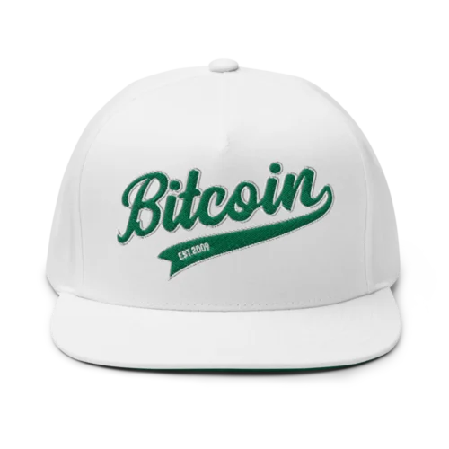 Bitcoin Baseball Snapback Hat